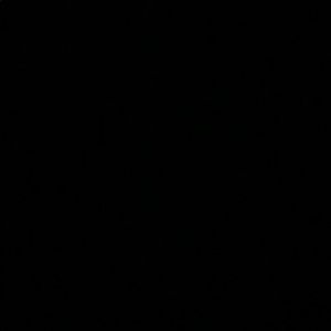 Meet your Posher, Leroy